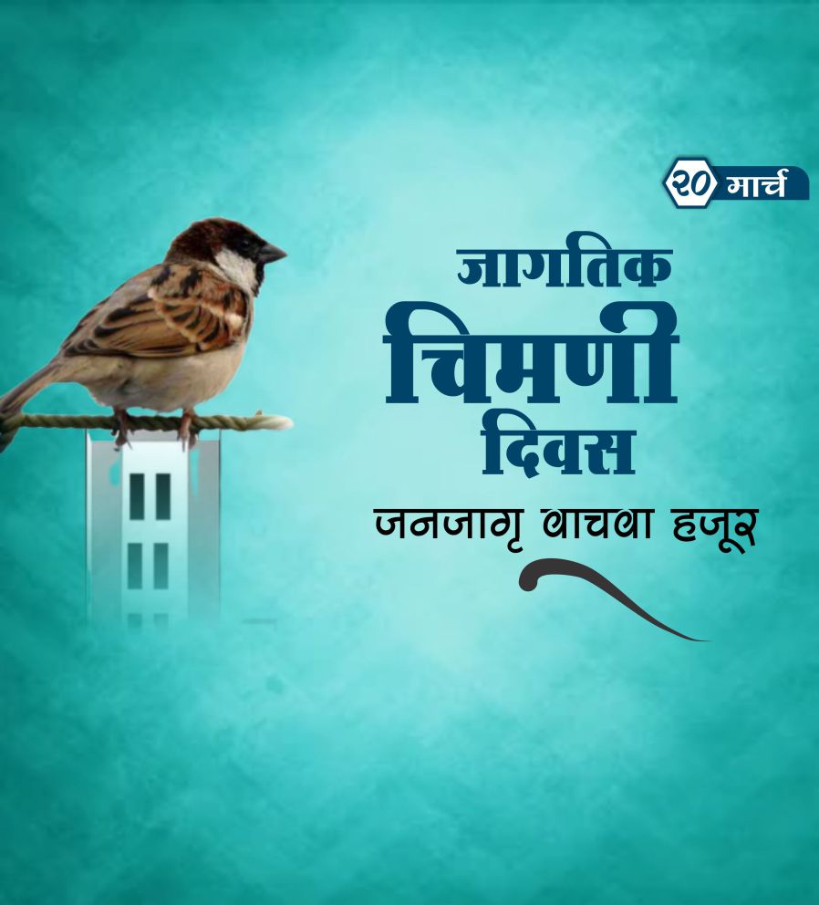 जागतिक चिमणी दिवस