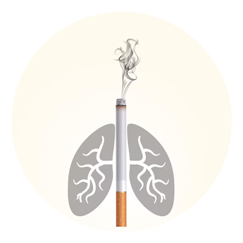 जागतिक तंबाखू विरोधी दिन