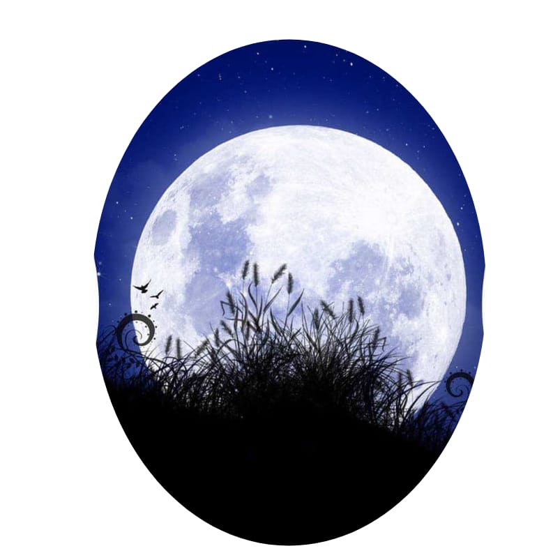 चैत्र पौर्णिमा