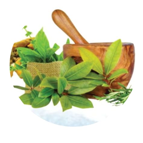 जन औषधी दिन