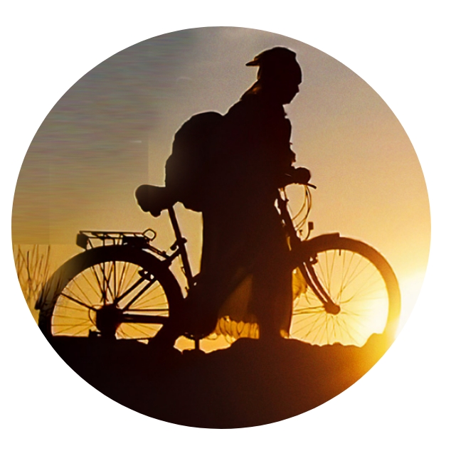 जागतिक सायकल दिन