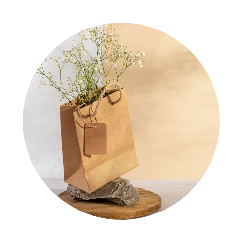 National  Paper Bag  Day