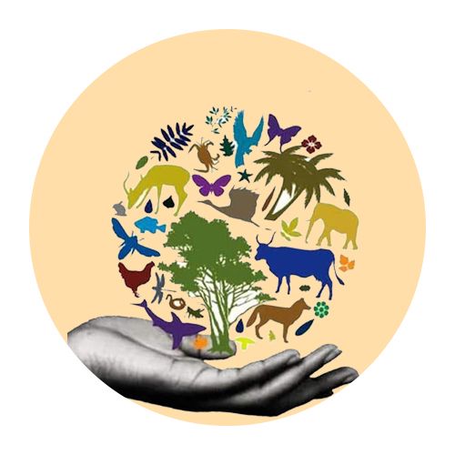 World  Biodiversity  Day