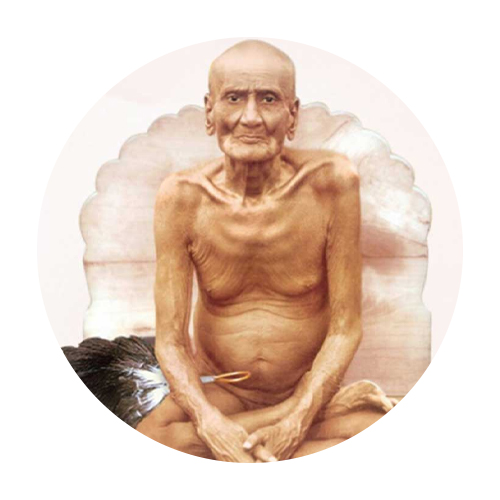 आचार्य शांतीसागर महाराज जयंती