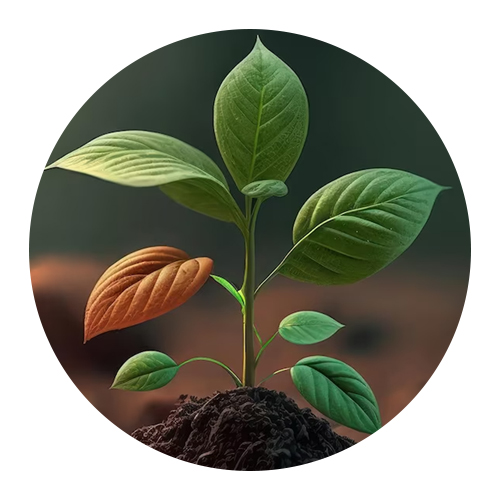 जागतिक पर्यावरण दिन