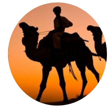 राजस्थान स्थापना दिवस