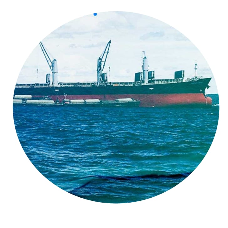 राष्ट्रीय सागरी दिन