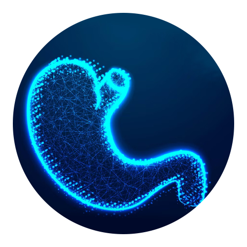 World  Digestive  Health Day