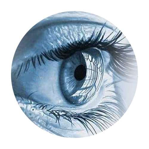 जागतिक नेत्रदान दिवस