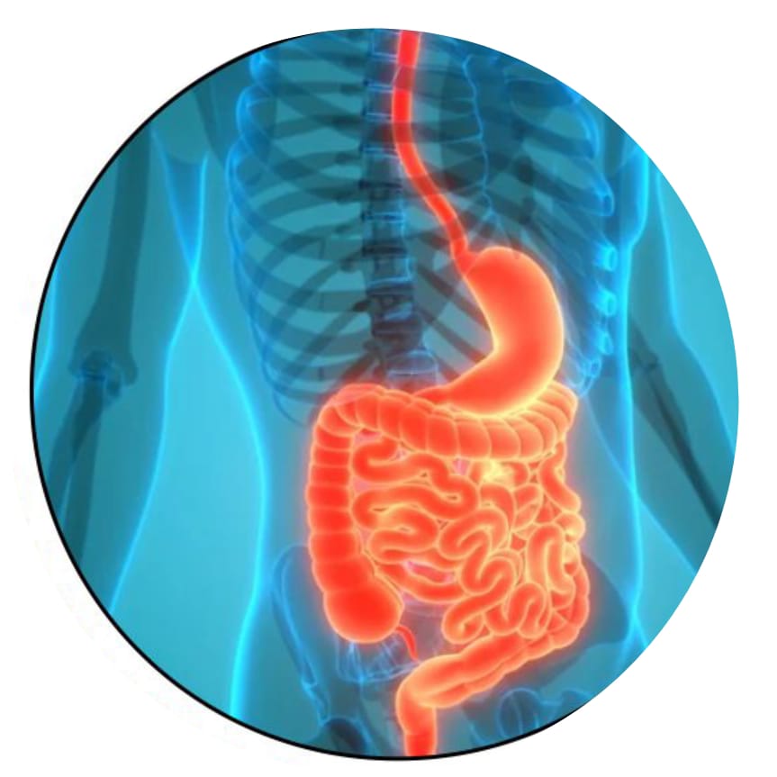 जागतिक पचन स्वास्थ्य दिन