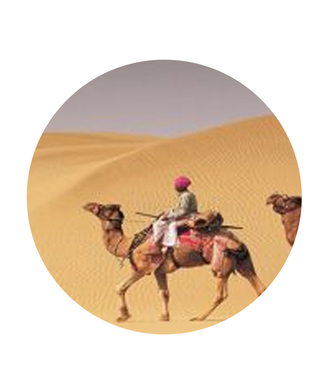 वाळवंटीकरण व दुष्काळ विरोधी दिन