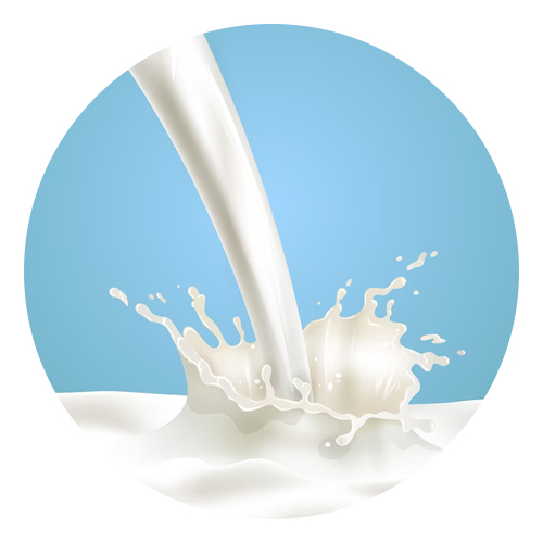 World  Milk Day