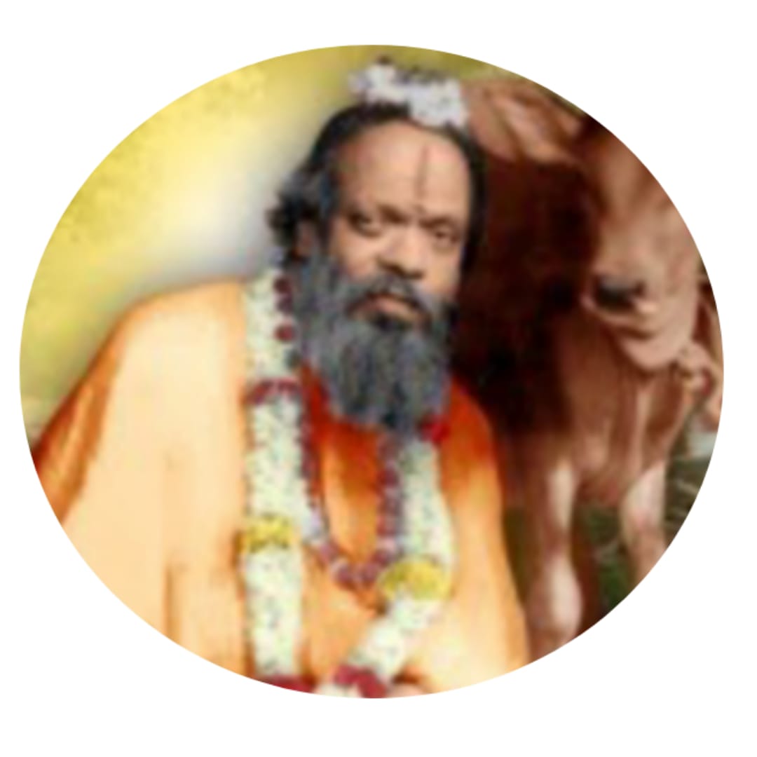 श्री बालमुकुंद बालावधुत दत्त महाराज