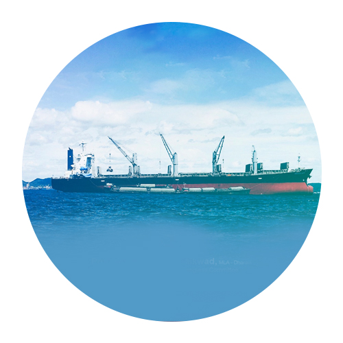 International  Maritime Day