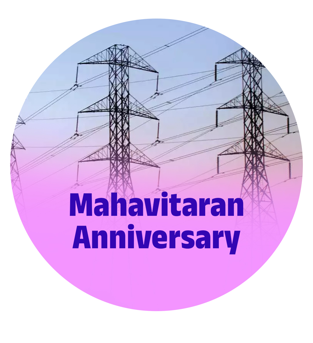 Mahavitaran Anniversary