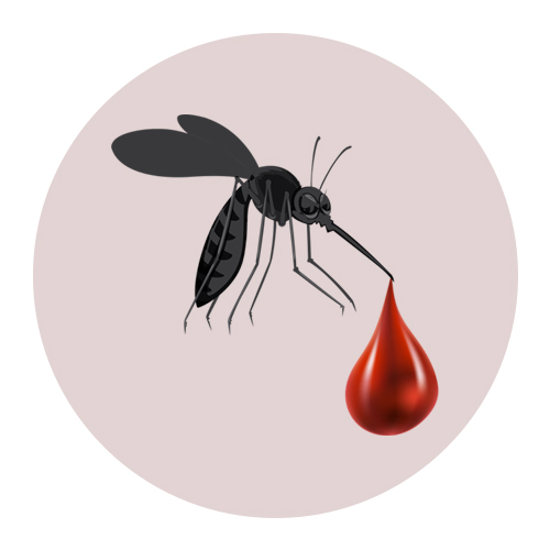 जागतिक मलेरिया दिवस