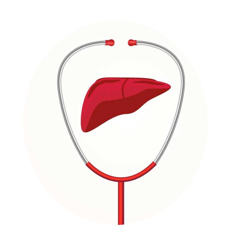 जागतिक यकृत दिन